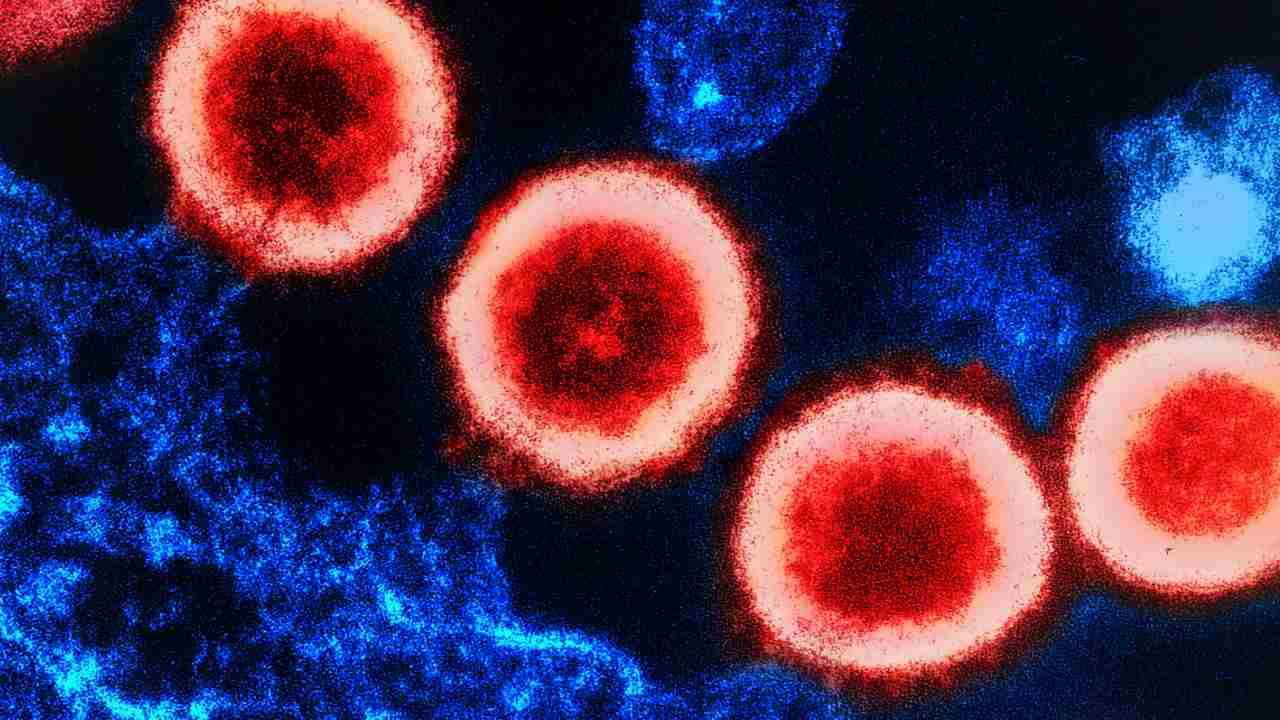 Hiv