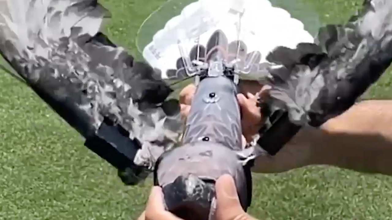 drone volatile
