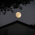 Il 24 febbraio 2024 si potrà ammirare la Luna Piena delle Nevi.