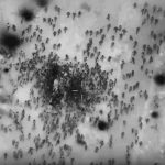Palestina, la strage del pane
