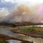 L'ecocidio diventa un crimine perseguibile fino a 10 anni di reclusione.
