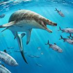 Ecco chi abitava gli oceani 66 milioni di anni fa.