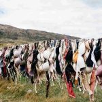 Perché i reggiseni si chiudono da dietro?