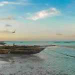 9 morti a Zanzibar, in Africa orientale.