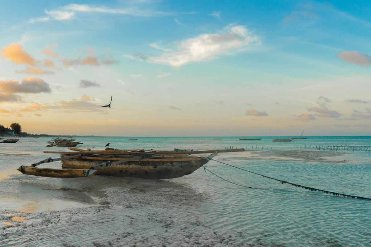 9 morti a Zanzibar, in Africa orientale.