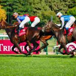 Varenne cavallo ippica trottatore