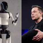 Elon Musk offre 100 mila dollari l’anno per allenare i suoi robot Optimus: l’offerta lavorativa e i pericoli
