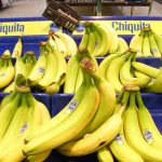 Chiquita sotto accusa: qual è il legame tra la società di banane e il terrorismo in Colombia?