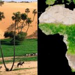 Il Deserto del Sahara sta diventando verde? Perché questo fenomeno dovrebbe destare preoccupazioni?