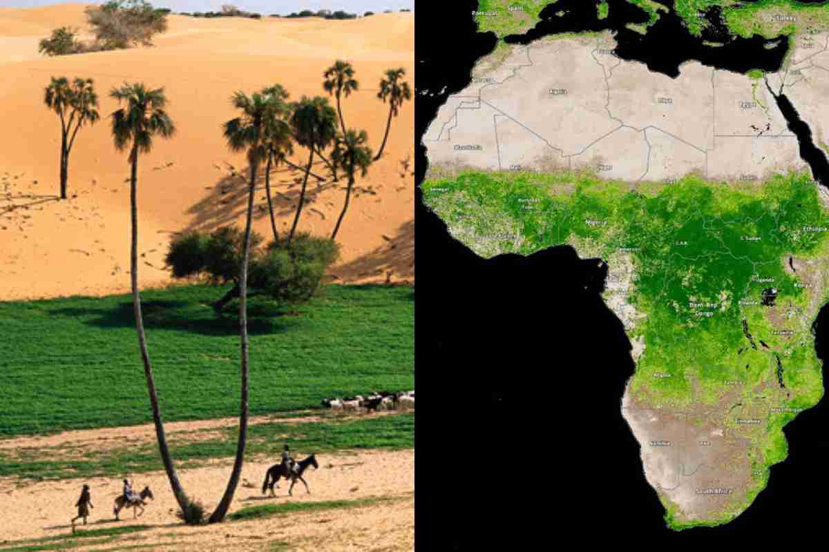 Il Deserto del Sahara sta diventando verde? Perché questo fenomeno dovrebbe destare preoccupazioni?