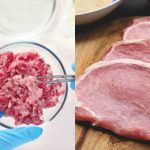 Cosa significa che l’UE ha bocciato il divieto ungherese a coltivare carne?