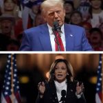 Elezioni presidenziali USA 2024, dove seguirle in TV e su YouTube: tutte le maratone