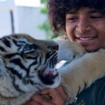 Il ragazzo e la tigre è un inno alla speranza e alla tutela ambientale: trama, cast e curiosità