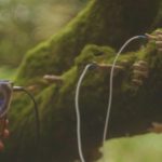 Vuoi far suonare le tue piante? Cos’è Pocket Scion, il sintetizzatore che trasforma la natura in musica